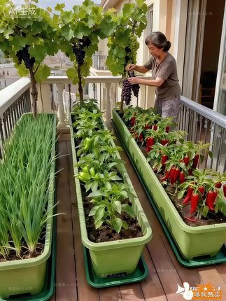想在家搞种植?这款花盆超实用!家庭种植、阳台种菜都适配,哪怕是精致阳台小院也能搭。轻松满足不同种植需求,让绿植蔬菜长势旺,家里的小角落瞬间焕发生机~ #花盆 #家庭种植 #阳台种植 #阳台种菜 #阳台小院均可种植