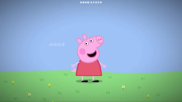 温暖的童年伙伴小猪佩奇#科普#小猪佩奇 #涨知识