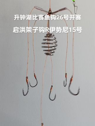 鲢鳙专用鱼钩花白鲢不绣钢丝十字架子钩激光焊接可以调节钩门朝外方块翻版钩爆炸钩海竿浮钓大头鱼胖头鱼抛竿浮钓升钟湖比赛鱼钩鱼具钓具自制鲢鳙饵料粑粑配方方块粑两用#钓鱼 #鱼钩 #户外钓鱼 #渔具用品 #垂钓