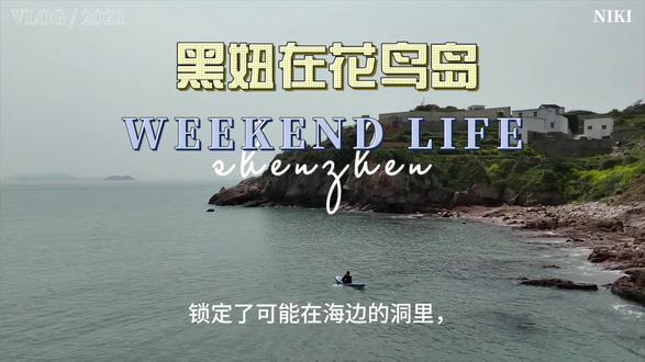 狗狗黑妞的救援