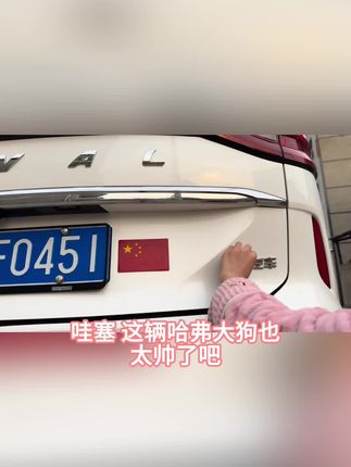 一二代哈弗大狗长城汽车4WD/H6车标黑化装饰贴外观黑武士改装专用#好物推荐#上热门#好物推荐