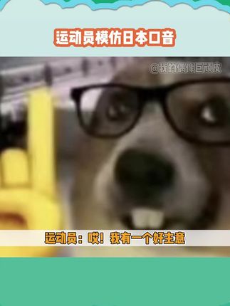 我的偶像巨顽皮