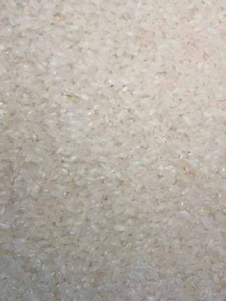 大米10斤一袋 生态长粒香米 新鲜圆粒大米 五常黑土大米#大米 #农产品 #大米饭