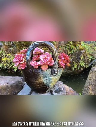 手工柴烧花盆,送花更显心意 #礼物 #礼物推荐 #礼物开箱 