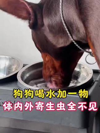 不要和妈妈顶嘴,没有妈妈哪来的家 #家长教育 #妈妈的世界很小里面装满了你 #家庭教育 #正确引导教育孩子陪伴孩子 #育儿教育
