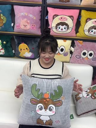 #柔软亲肤 #抱枕被子两用 #抱枕被子二合一 ,靠枕,拉链打开是被子,合上是抱枕。