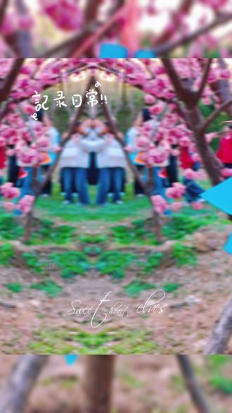 🌸粉花枝头藏着春天的约定!🌿蓝色卡片写满植树心愿,你心动了吗?💚快和春天撞个满怀吧~