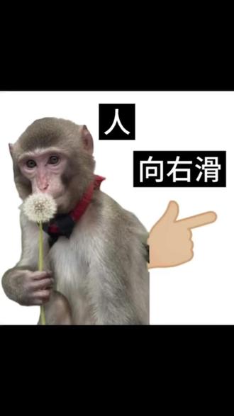 《京婚溺宠》 #红果短剧#sthg#短剧#你的短剧搭子#京婚溺宠