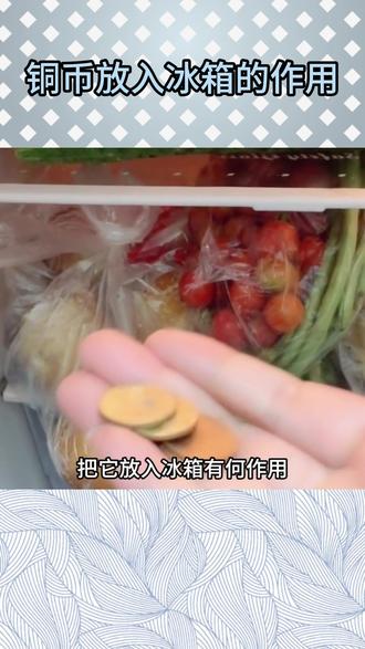 铜币放入冰箱的好处你要知道 #冰箱杀菌