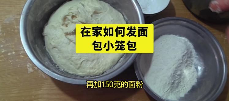 照我的方法你都发不起来面,你直接过来打我! #早餐培训 #小笼包做法 #面点分享