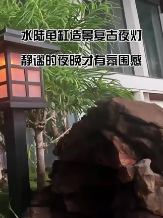 “明月松间照,夜灯石上流。”静谧水陆缸箱,一灯如画,黄缘绿植将是这画中的主角光环。#黄缘龟环境布置 #黄缘造景灯 #户外夜灯 #养龟人日常 #水陆龟缸 @DOU+小助手