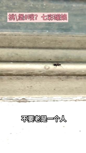 和好兄弟一起看看七彩罐娘吧 #二次元 #宅男 #动漫 #手办
