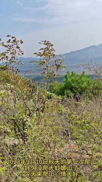 23年9月10日周末爬大虹螺山采蘑菇。