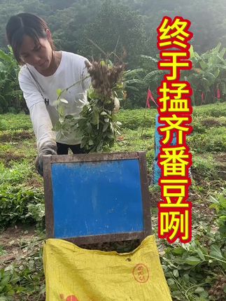 掹咧几日终于掹齐咧#记录真实生活