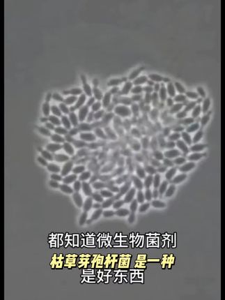 枯草芽孢杆菌有机蔬菜土壤改良菌农用防治病害肥种植单一微生物菌#无限回购的宝藏单品#好物推荐#好物分享
