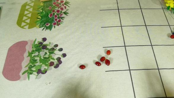 #爱手工爱生活 自制十二龙九凤冠之宝石花