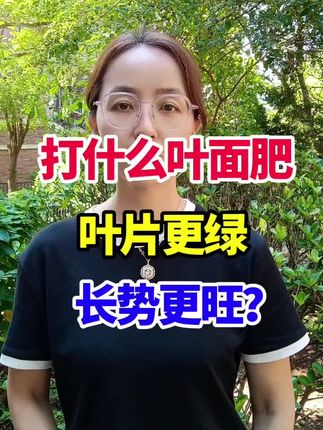 打什么叶面肥 叶片更绿 长势更旺? #叶面肥#效果好#瓜果蔬菜#增产增收#种植小技巧