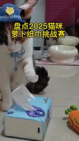 盘点2025猫咪萝卜纸巾挑战赛,谁是垫底 ?
评论区扣654321#宠萌认物挑战 #萝卜纸巾猫#超级无敌大开门 #萝卜纸巾猫咪模仿挑战 #记录猫咪日常