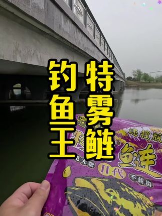 钓鱼王的#特雾鲢二代 来了,首发价不掀桌子,掀地皮了?大厂的实力太给力了!#钓鱼人 #浮钓鲢鳙 #抽鲢鳙 #爆护饵料