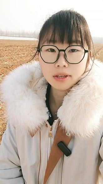 晚播小麦,也能高产,喷洒农满穗,穗穗结大粒