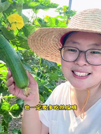 三伏天宁可不吃肉,也要多吃丝瓜夏季解暑利尿第一瓜一定要多吃丝瓜!#抖音新农人 #我的乡村生活 #湖北随州老品种丝瓜 #湖北农家菜 #随州老味道