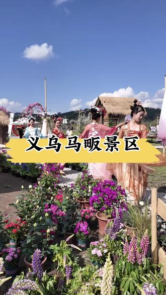 春假清明假期就来打卡义乌马畈进去吧‼️#抖出你的家乡美景 #义乌 #金华周边游 #春假假期 #春假好去处