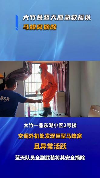 摘蜂记#大竹#蓝天救援队#同城精选