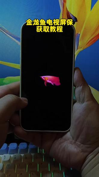 《一夜宝库》金龙鱼手机电视屏保获取简单教程来了#金龙鱼电视屏保 #金龙鱼屏保 #电视屏保 #屏保该换了系列 #金龙鱼屏保安装教程