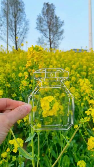 周末陪孩子一起去公园收集春天吧,制作漂亮的#书签手工 ,仪式感满满#书签 #手工diy #书签制作