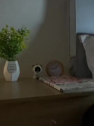 轻轻一拍就亮的小夜灯,晚上起夜、喂奶很方便,灯光柔和不刺眼!#氛围感小夜灯 #小夜灯 #护眼灯 #宝妈推荐 #母婴好物
