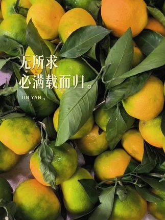 农产品#抖音推广 #新鲜采摘 #助手抖音 #新农人计划 #每日分享
