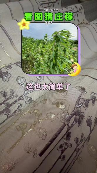 #这也太简单了#农作物 无敌就是这么强大,哈哈哈哈