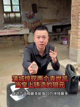 蒲城大哥居然有袁世凯称帝时铸造的银元、而且还是两个、据说祖上还是当大官的、太厉害了吧 #银元 #铜钱 #收藏 #古董