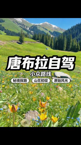 唐布拉小众牧道 放下赶路的匆忙,沉浸式感受伊犁本色。#新疆自驾游攻略 #伊犁小众景点 #新疆伊犁风景 #创作者中心 #创作灵感