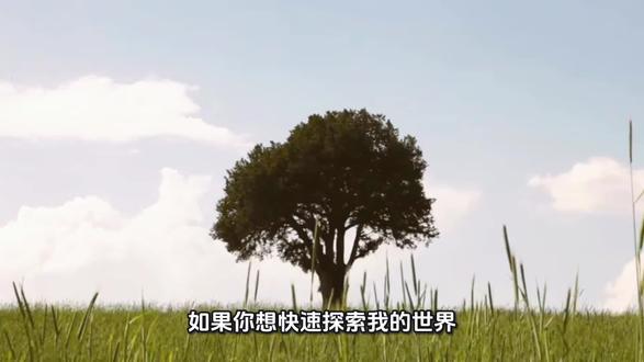 我的世界速通教学#热知识#我的世界#我的世界速通