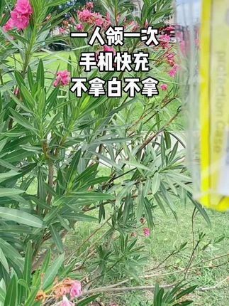 #每人限领一份 #快薅#自用好物推荐 #爆款热卖中