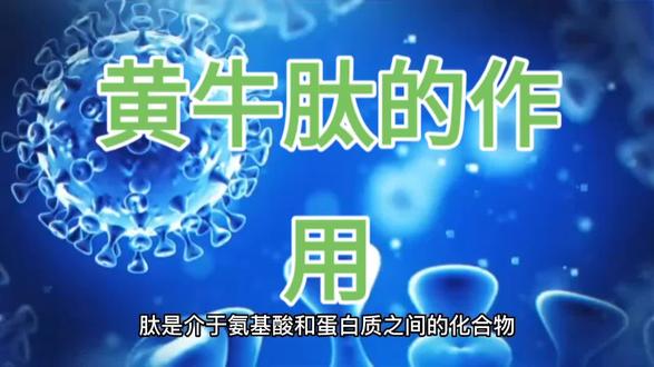 肽是介于氨基酸和蛋白质之间的化合物,肽粉由多种元素组成,它能明显提高血中红细胞的供养能力,有利于提高氧代谢,增强代谢过程和提高运动水平,缓解身体疲劳以及疲劳后出现的肾虚腰酸等身体不适,能提高机体免疫力。
肽粉能促进矿物质的吸收和利用,改善神经性过敏的症状,具有解毒、抗毒、防止黑色素沉着的作用。肽粉能修复人体最细的视觉神经,修复激活小脑萎缩的神经,改善记忆力。