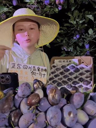 正宗四川雅安汉源应季新鲜蓝蜜西梅假一罚十整箱孕妇水果产地直发