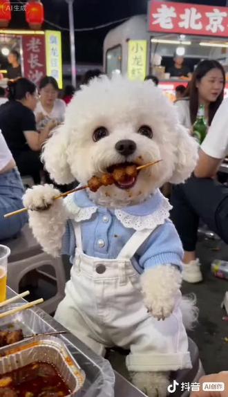 小可爱夜市吃烧烤#随变ai随便玩 #拍同款#抖音玩法合伙人计划#萌宠