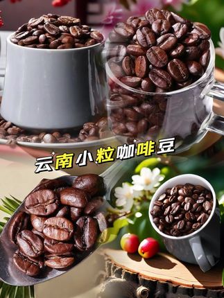云南小粒咖啡豆#好喝不贵 #好东西一起分享 #咖啡推荐