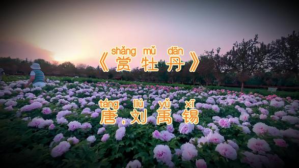 古诗《赏牡丹》唐.刘禹锡