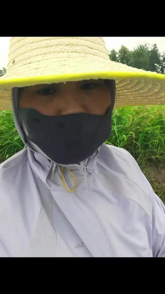 我们这一代人都分得清哪个是草,哪个是秧苗,我们的下一代就分不清了。😓