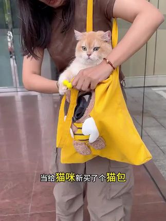 A股,聪明钱除了流入绩优股,上午主要去了半导体,算力,五一假期概念,以及房地产。#A股#股民 #股票 #行情分析 #大盘