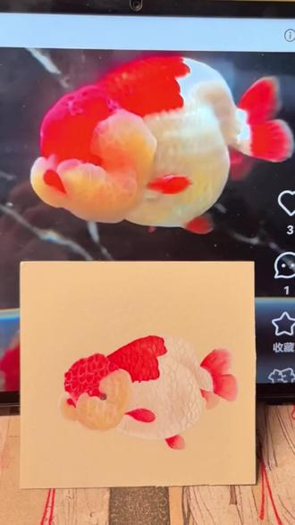 零基础也能画!超详细没骨画金鱼教程
谁说画金鱼很难?2分钟超快上手,用没骨画法画出超有灵气的兰寿金鱼,新手也能轻松get!✨
材料准备:🎨
10×10熟宣卡纸、曙红、大红、藤黄、赭石、金色、银色颜料、毛笔笔
超详细步骤:📝
1. 起形: ✏️ 用铅笔轻轻勾勒出金鱼轮廓,注意头部和身体的比例哦~
2. 上色:🖌️ 曙红+大红调出红色,平涂背部、头部和鱼鳍,背部趁湿滴入金色,撞色效果超惊艳!
3. 细节刻画: 🎨 藤黄薄涂脸部和阴影,白色从亮到暗过渡分染,再用银色和红色勾勒鱼鳞,鱼鳍和尾部轻轻扫出丝状感,灵动感瞬间up!
4. 点缀: 🌸 加上喜欢的花朵,画面更丰富!
小贴士:💡
颜色宁浅勿深,方便后续调整
撞色时金色要趁湿滴入,效果更自然
勾勒鱼鳞时笔触要干脆利落,不要太湿
如果颜色未达到理想效果,可进行二次分染或罩染
快来试试吧!画出属于你的灵动兰寿金鱼,晒出你的作品并@我,有机会获得精美画材哦!🎁
#金鱼 #没骨画 #新手绘画 #绘画教程 #手绘