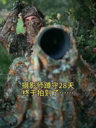 摄影师蹲守了28天,终于拍到了.......#上班时间皮一下 #万万想不到 #00后 #00后运营一言不合就发疯 #鹿小井蔬果净