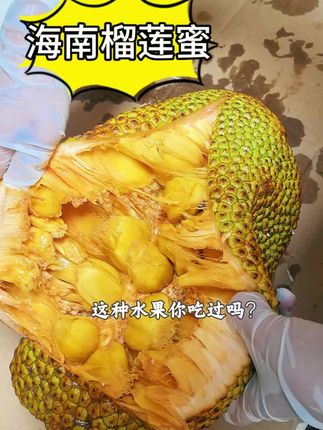 这种高端水果,你们吃过吗又有菠萝蜜的味道,又有榴莲的味道#榴莲蜜 #榴莲蜜吃过吗