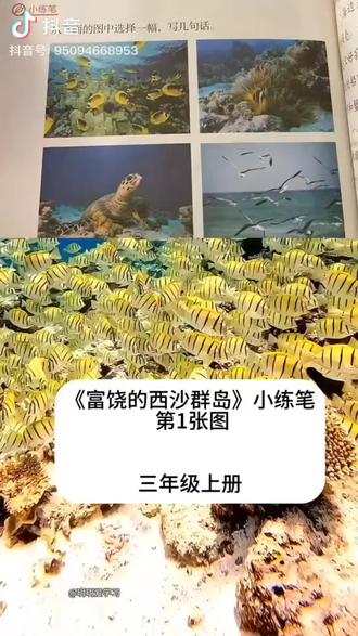 富饶的西沙群岛课后小练笔