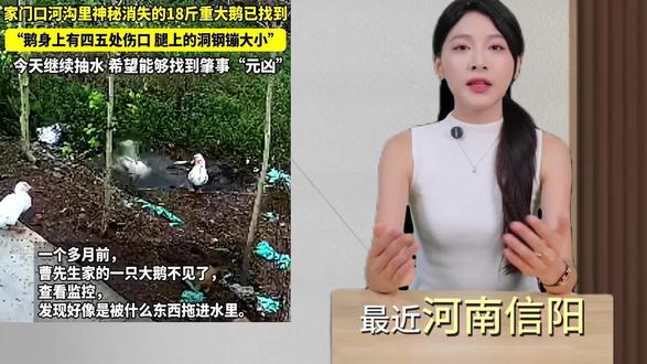 大鹅神秘消失后续:水塘抽干,淤泥被翻,网友质疑主人是炒作 #抖音合集升级计划