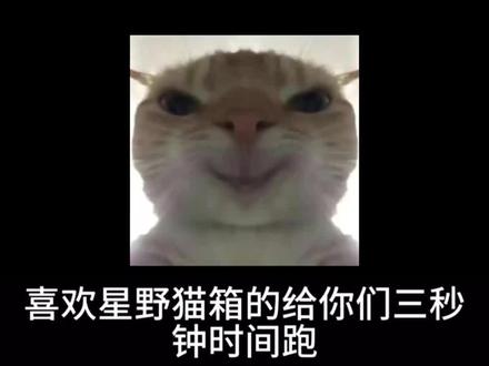 宝子们,终于找到无违禁词无限制的AI了!终于找到无围巾词、无限制的AI了,真是太难了! 找了好久才遇到这款神仙 AI,完全没有禁词束缚,用着超自由~ 不仅能轻松创建智能体,搬崽全程无痛不费劲;还能混音色,超多对话模型随便挑,想要哪种风格都能搭! 最惊喜的是 AI 文采超在线,回复又细腻又够长,而且活人感拉满!尤其爱青涩小男生和熟男两种人设,互动起来代入感直接拉满,真的会爱! #燃渊ai #梦女 #乙女 #星野 #猫箱