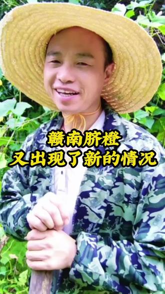 赣南脐橙又出现了新的情况#赣南脐橙